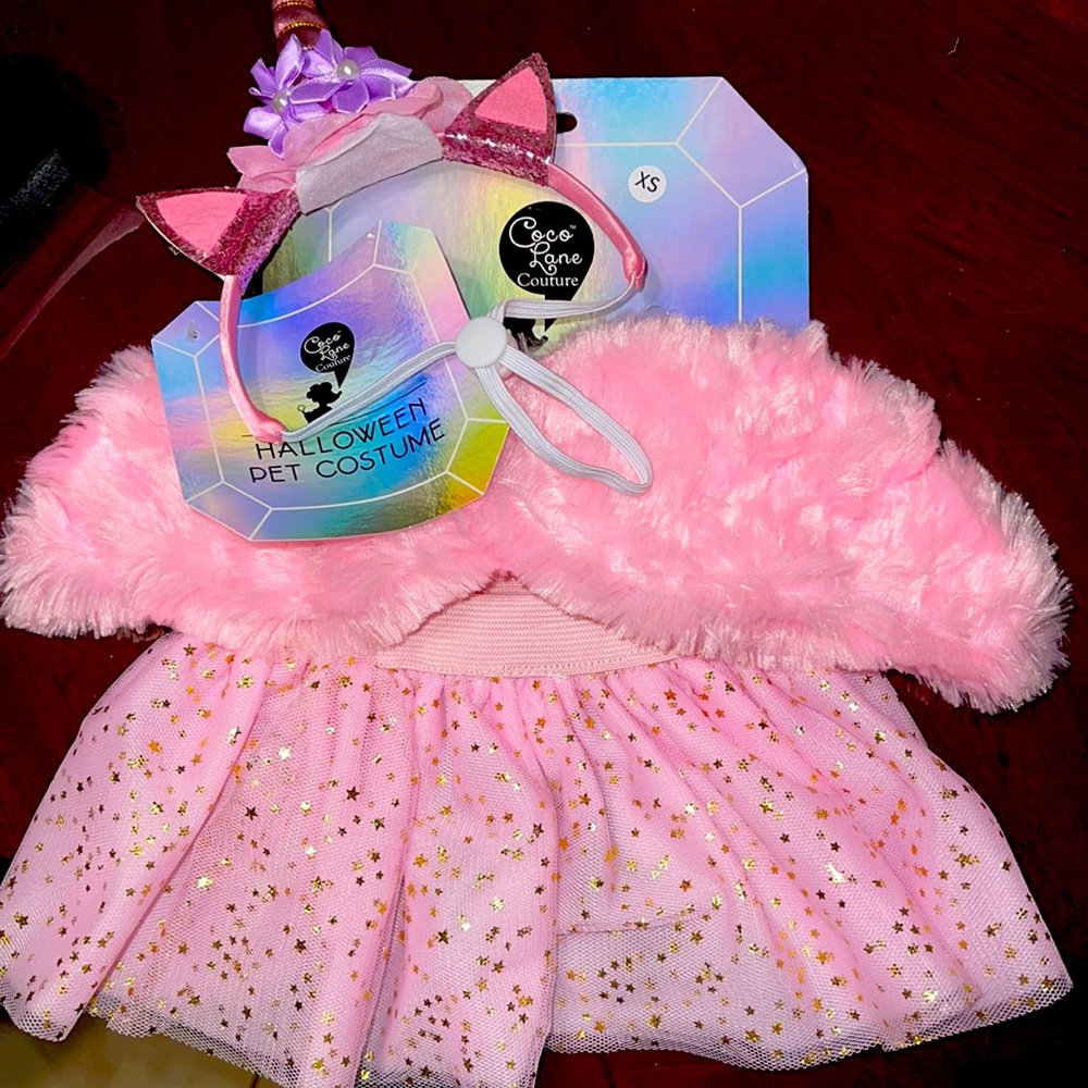 Pet costume